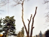 bild4