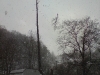 dsc01819